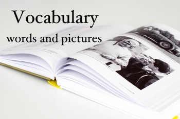 Vocabulary